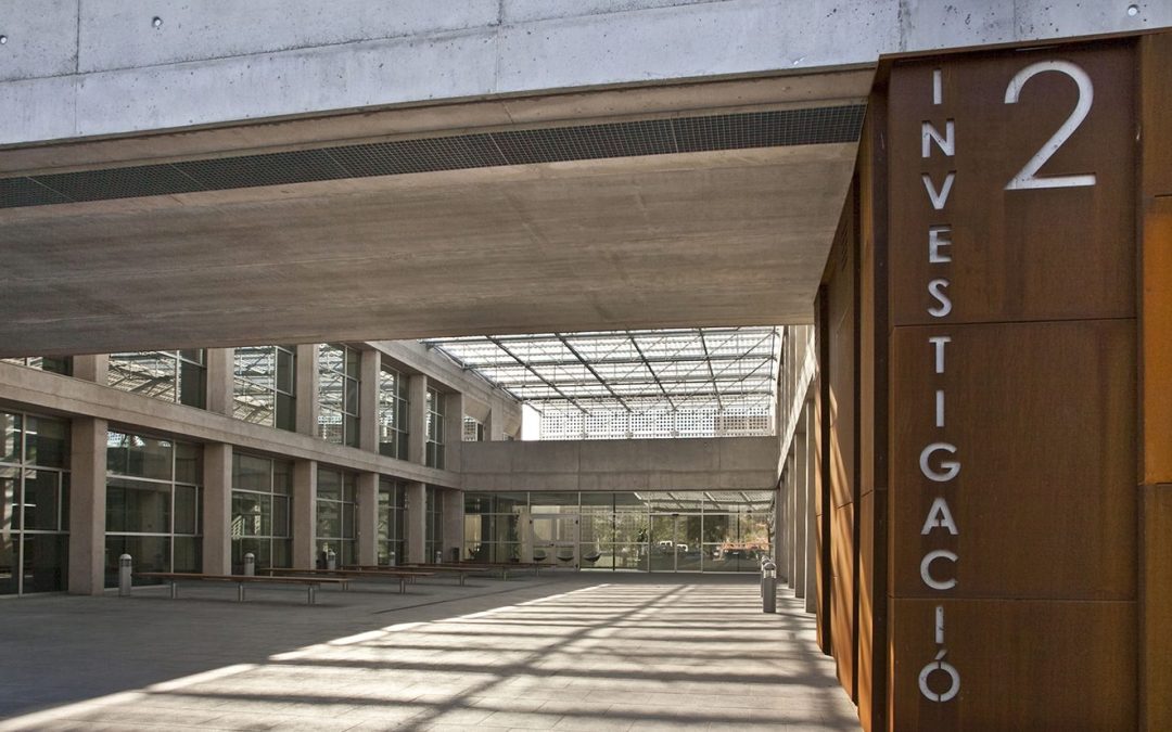 La Universitat Jaume I promueve la transferencia de conocimiento mediante el programa UJI.>LAB Impuls