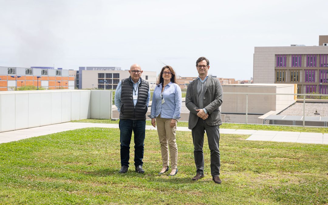BluePlasma Power impulsa el proyecto Revalue para poder convertir residuos de ecoparques en recursos valiosos